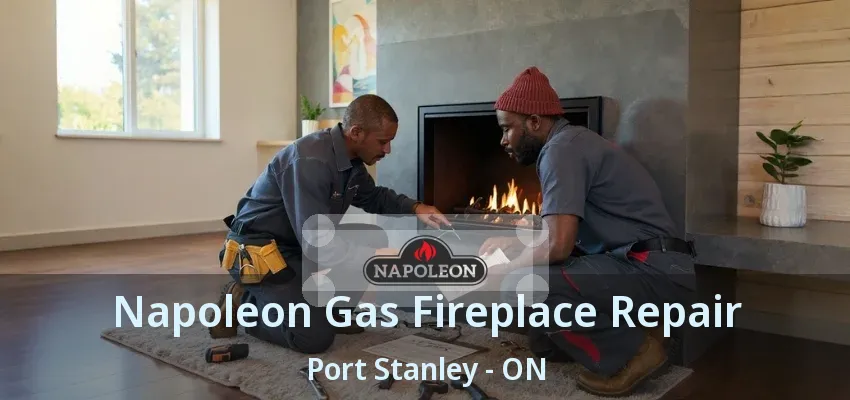 Napoleon Gas Fireplace Repair Port Stanley - ON Napoleon Gas Fireplace Repair Port Stanley - ON