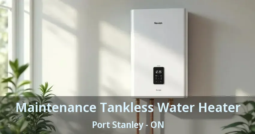Maintenance Tankless Water Heater Port Stanley - ON