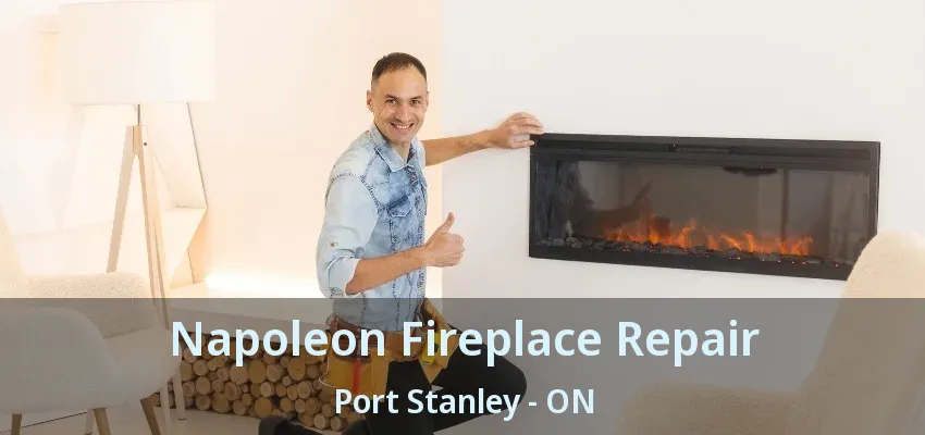 Napoleon Fireplace Repair Port Stanley - ON Napoleon Fireplace Repair Port Stanley - ON