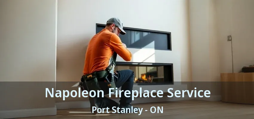 Napoleon Fireplace Service Port Stanley - ON Napoleon Fireplace Service Port Stanley - ON