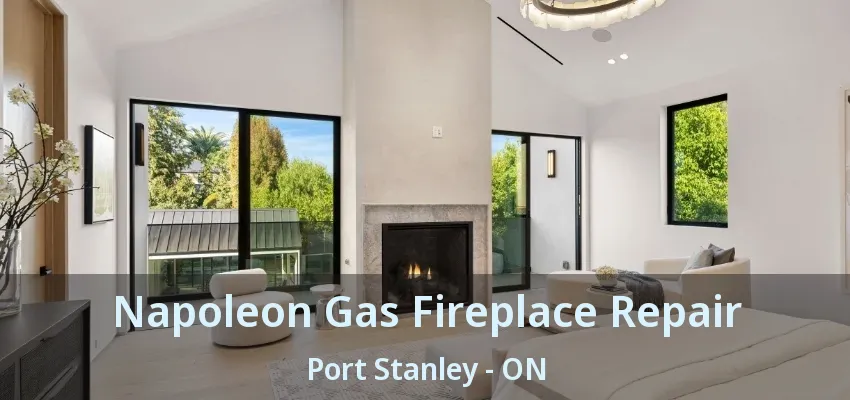 Napoleon Gas Fireplace Repair Port Stanley - ON