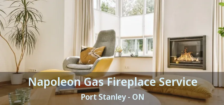 Napoleon Gas Fireplace Service Port Stanley - ON Napoleon Gas Fireplace Service Port Stanley - ON