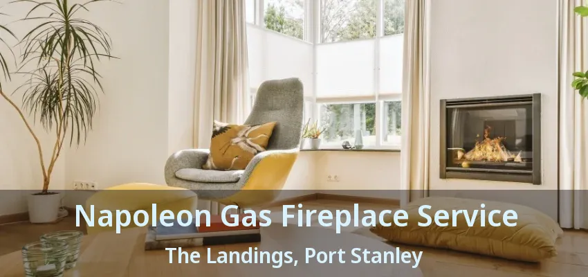 Napoleon Gas Fireplace Service The Landings, Port Stanley - ON