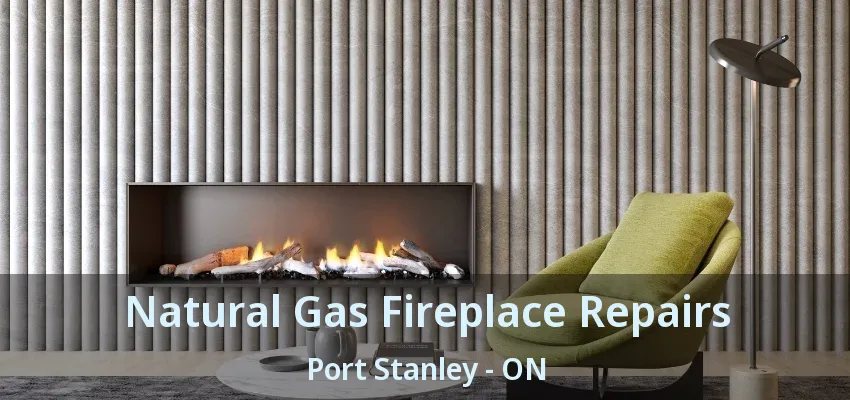 Natural Gas Fireplace Repairs Port Stanley - ON