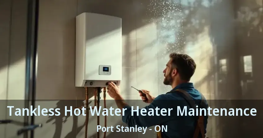 Tankless Hot Water Heater Maintenance Port Stanley - ON Tankless Hot Water Heater Maintenance Port Stanley - ON