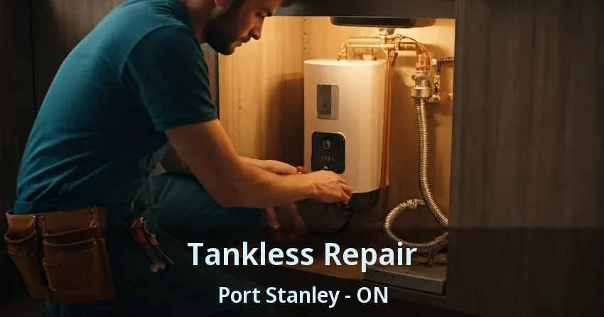 Tankless Repair Port Stanley - ON Tankless Repair Port Stanley - ON